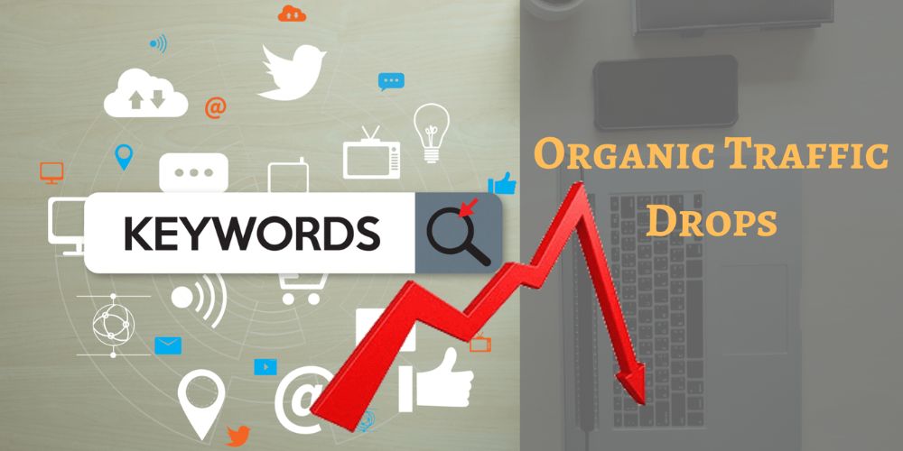 6 Things to Check for when your Organic Traffic Suddenly Drops