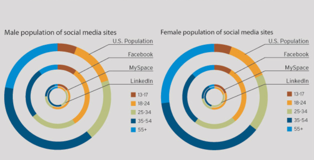 social media demographic